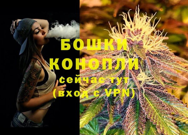 дживик Баксан