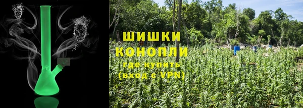 дживик Баксан