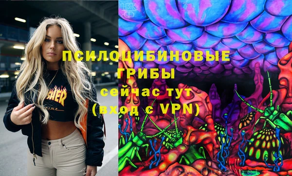 дживик Баксан